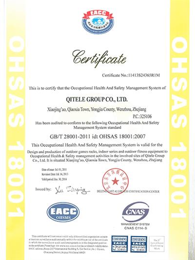 Group company certificate OHSAS-2801 E